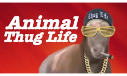 Animal Thug Life