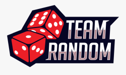 RandomTeam 