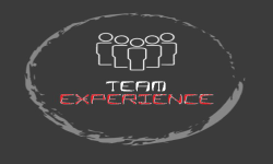 Team Experience