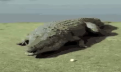 Крокодил Gaming