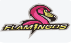 Team Flamingo