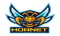 Hornet eSports