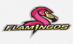 Team Flamingos