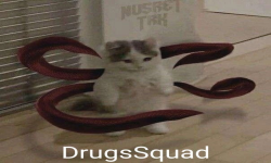 DrugsSquad