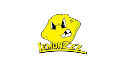 Team LemonZzz