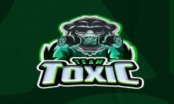 Team Toxic Gaming