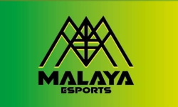 Team Malaya Esports