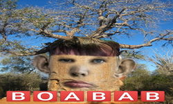 BOABAB