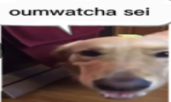 oumwatcha sei