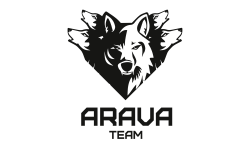 Team Arava