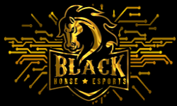 Black Horse Esports