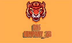 Company_28