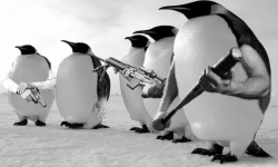 team penguins