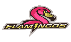 Team FlamingoS