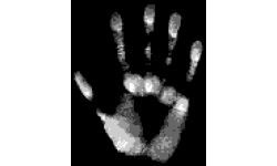 White Hand Gaming
