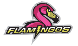 Team flamingo