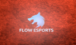 Flow Esports