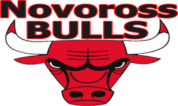 Novoross Bulls