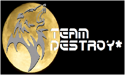 Team Destroy*
