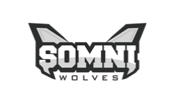 SOMNI