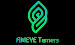 AMEYE Tamers