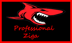 Professional Ziga