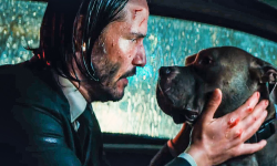 John Wick's Dog