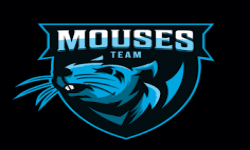 Mouse Team