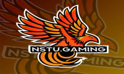 nstu gaming