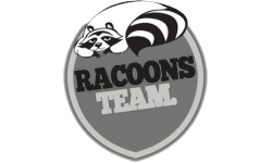 The Racoons