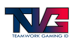 Teamwork Gaming ID