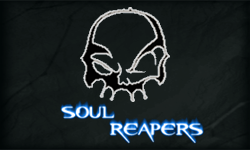 SoulReaper's