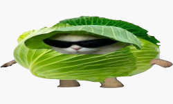 LETTUCEWIN