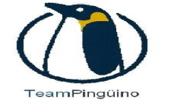 Team pinguino