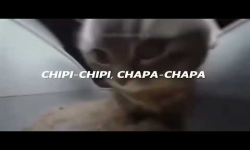 ChipiChapa