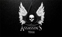 Assassin's Team-