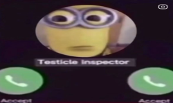 Team Testicle Inspectors