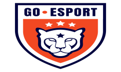 GO E-Sports