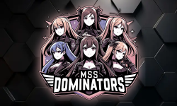 MSS Dominators