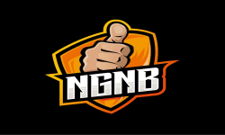 Ngnb0.3!