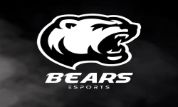 Bears E-Sport