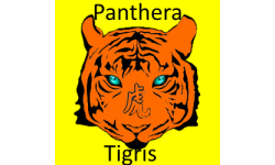 Pantheras Tigris