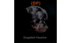 Drogobich Pacantre