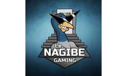 Le Nagibe Pro Gaming Team Dota 2