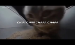 CHIPICHAPA