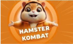 TEAM Hamster Kombat