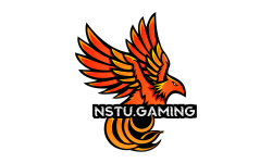 nstu gaming