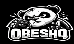 OBESHO +4 