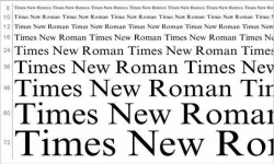 Times New Roman