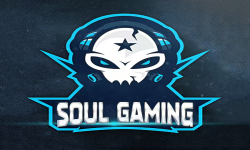 Soul Ganming